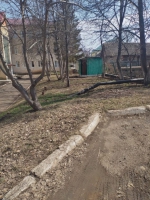 ” День чистоты”