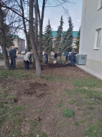 ” День чистоты”