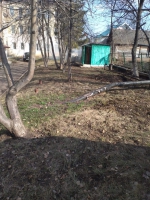 ” День чистоты”