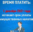 Время платить: 1 декабря 2021 года истекает срок уплаты имущественных налогов - Город Дюртюли
