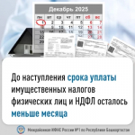 До наступления срока уплаты имущественных налогов физических лиц и НДФЛ осталось меньше месяца