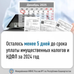 Осталось менее 3 дней до срока уплаты имущественных налогов и НДФЛ за 2024 год