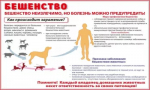 ОБ ОТВЕТСТВЕННОСТИ ЗА НЕСОБЛЮДЕНИЕ ТРЕБОВАНИЙ К СОДЕРЖАНИЮ ЖИВОТНЫХ