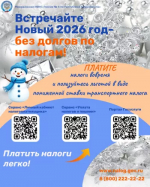 Встречайте новый год без долгов!