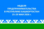 Неделя предпринимательства, приуроченная ко Дню российского предпринимательства