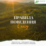 Берегите лес!