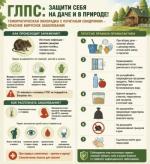 Профилактика ГЛПС