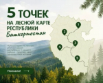 Куда отправиться за яркими пейзажами в выходные?